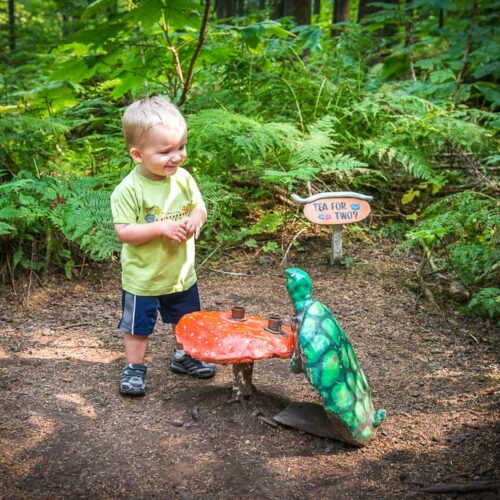 The Enchanted Forest BC Family Attraction Kids Activity - Tea for Two