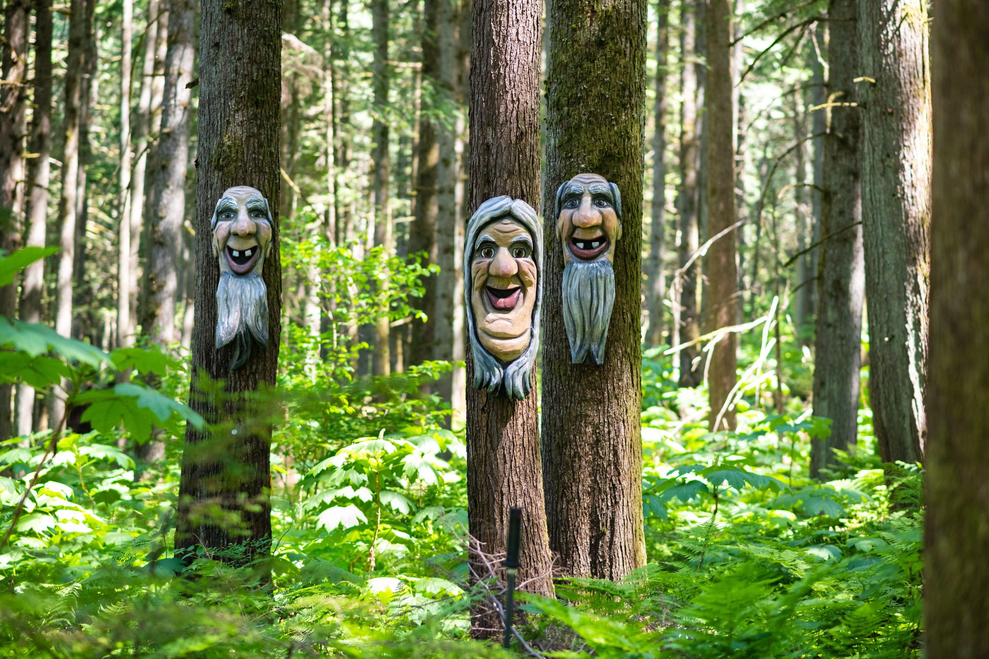 https://enchantedforestbc.com/wp-content/uploads/2022/03/the-enchanted-forest-carved-forest-creatures-bc-attraction-1.jpg