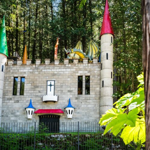 The Enchanted Forest - Castle in the Woods