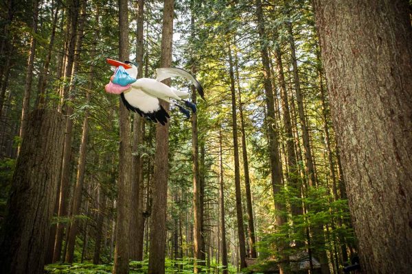 The Enchanted Forest BC Family Attraction - Stork