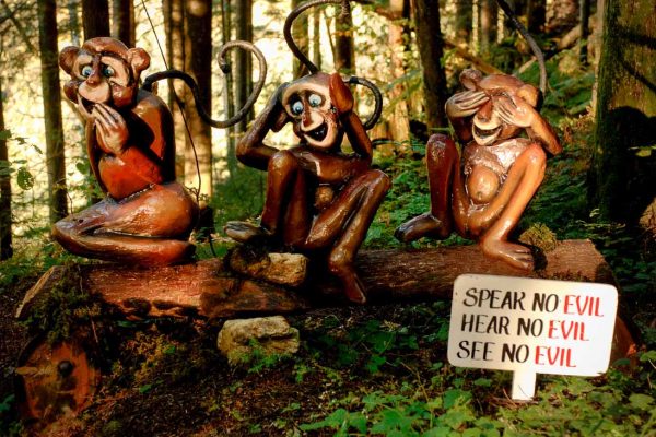 Speak Hear See - The Enchanted Forest - BC Family Attraction