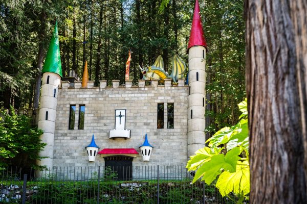 The Enchanted Forest - Castle in the Woods